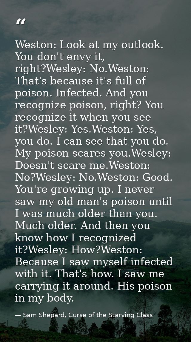 Weston: Look at my outlook. You don't envy it, right?Wesley: No.Weston: That's because it's full of poison. Infected. An — Sam Shepard, Curse of the Starving Class