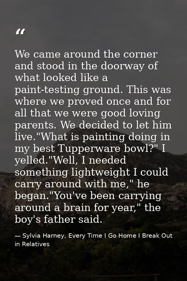 We came around the corner and stood in the doorway of what looked like a paint-testing ground. This was where we proved  — Sylvia Harney, Every Time I Go Home I Break Out in Relatives