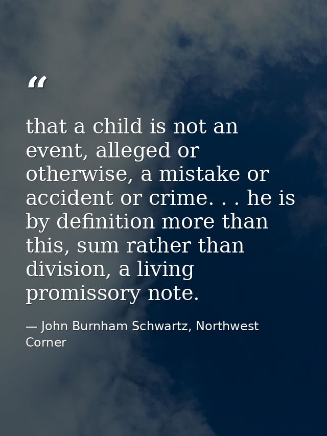 that a child is not an event, alleged or otherwise, a mistake or accident or crime. . . he is by definition more than th — John Burnham Schwartz, Northwest Corner