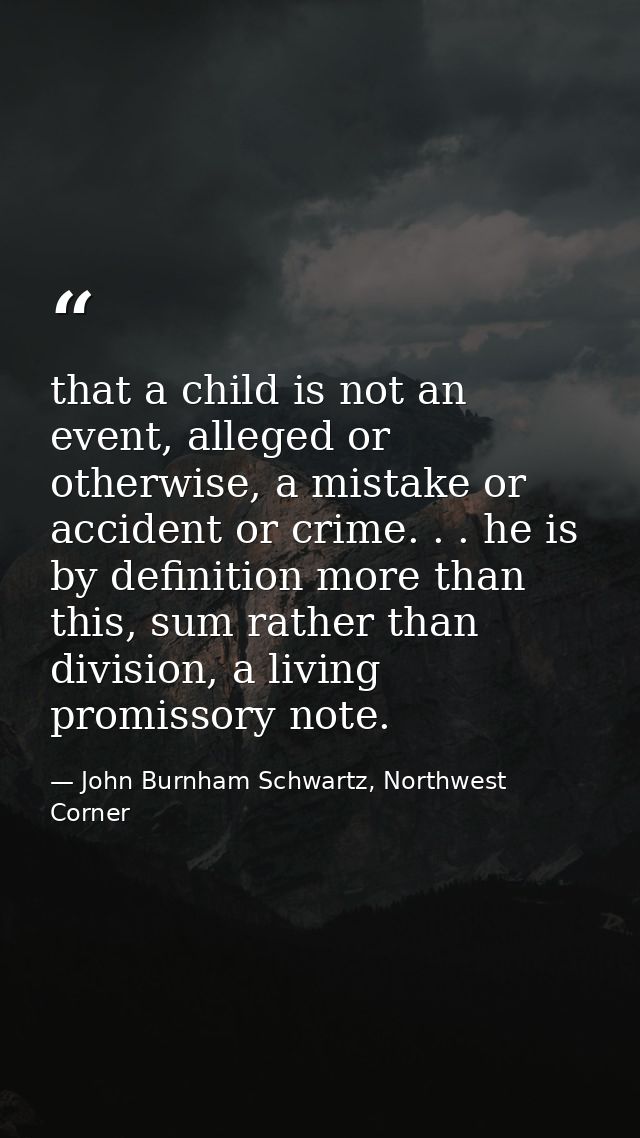 that a child is not an event, alleged or otherwise, a mistake or accident or crime. . . he is by definition more than th — John Burnham Schwartz, Northwest Corner