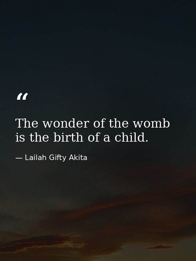 The wonder of the womb is the birth of a child. — Lailah Gifty Akita