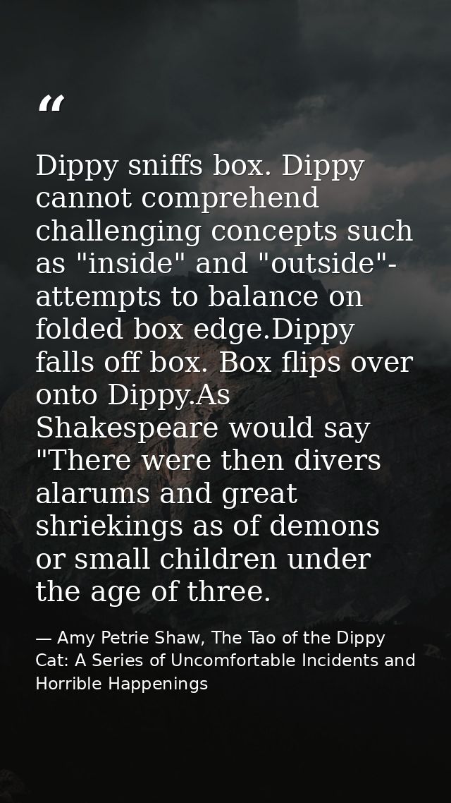 Dippy sniffs box. Dippy cannot comprehend challenging concepts such as "inside" and "outside"- attempts to balance on fo — Amy Petrie Shaw, The Tao of the Dippy Cat: A Series of Uncomfortable Incidents and Horrible Happenings