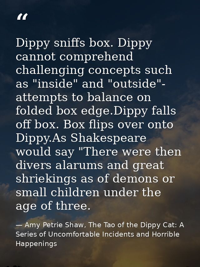 Dippy sniffs box. Dippy cannot comprehend challenging concepts such as "inside" and "outside"- attempts to balance on fo — Amy Petrie Shaw, The Tao of the Dippy Cat: A Series of Uncomfortable Incidents and Horrible Happenings