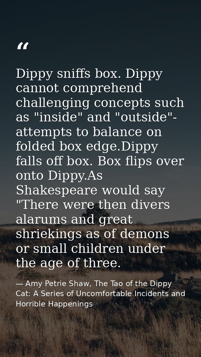 Dippy sniffs box. Dippy cannot comprehend challenging concepts such as "inside" and "outside"- attempts to balance on fo — Amy Petrie Shaw, The Tao of the Dippy Cat: A Series of Uncomfortable Incidents and Horrible Happenings