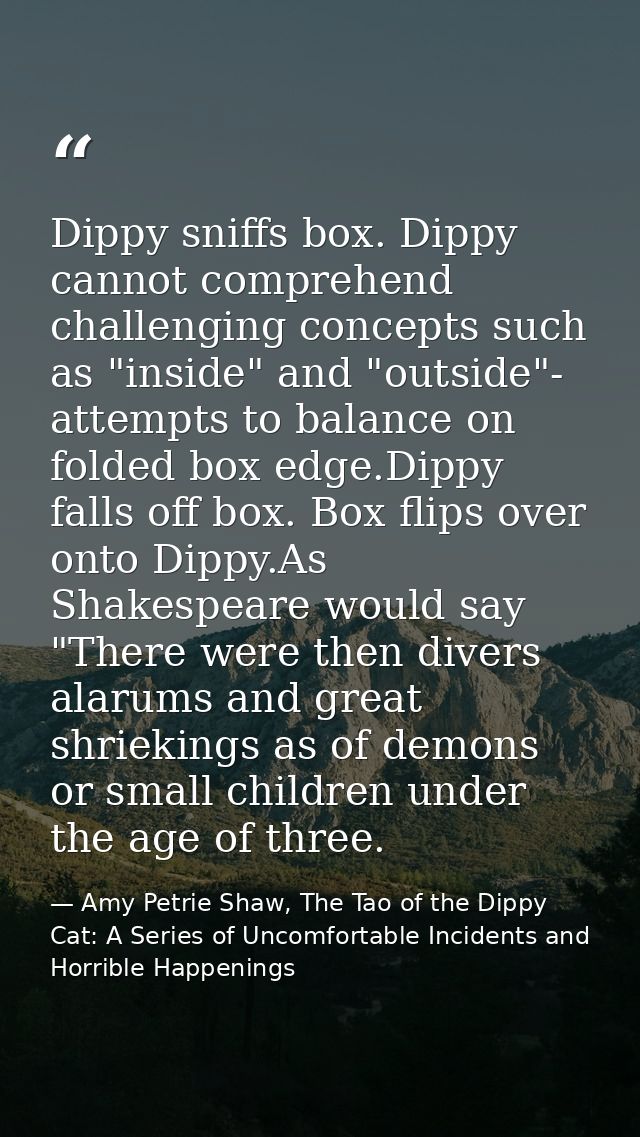 Dippy sniffs box. Dippy cannot comprehend challenging concepts such as "inside" and "outside"- attempts to balance on fo — Amy Petrie Shaw, The Tao of the Dippy Cat: A Series of Uncomfortable Incidents and Horrible Happenings