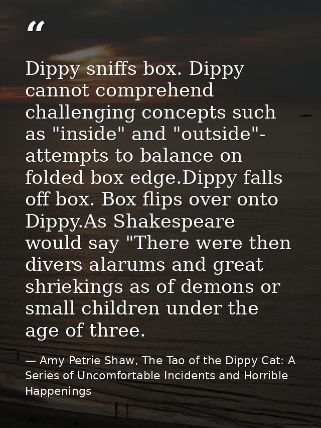 Dippy sniffs box. Dippy cannot comprehend challenging concepts such as "inside" and "outside"- attempts to balance on fo — Amy Petrie Shaw, The Tao of the Dippy Cat: A Series of Uncomfortable Incidents and Horrible Happenings