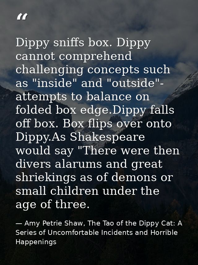 Dippy sniffs box. Dippy cannot comprehend challenging concepts such as "inside" and "outside"- attempts to balance on fo — Amy Petrie Shaw, The Tao of the Dippy Cat: A Series of Uncomfortable Incidents and Horrible Happenings