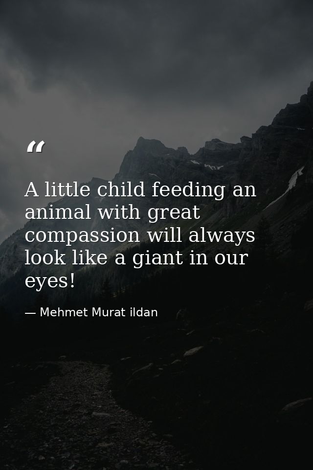 A little child feeding an animal with great compassion will always look like a giant in our eyes! — Mehmet Murat ildan