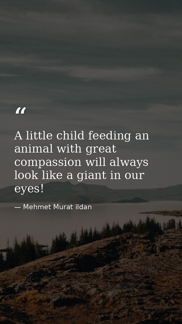 A little child feeding an animal with great compassion will always look like a giant in our eyes! — Mehmet Murat ildan