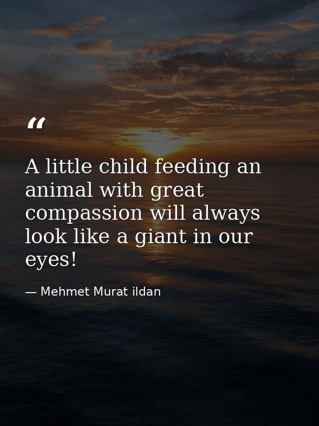 A little child feeding an animal with great compassion will always look like a giant in our eyes! — Mehmet Murat ildan