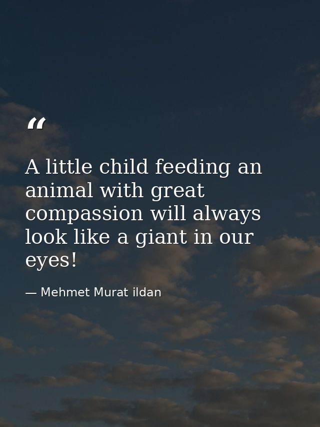A little child feeding an animal with great compassion will always look like a giant in our eyes! — Mehmet Murat ildan