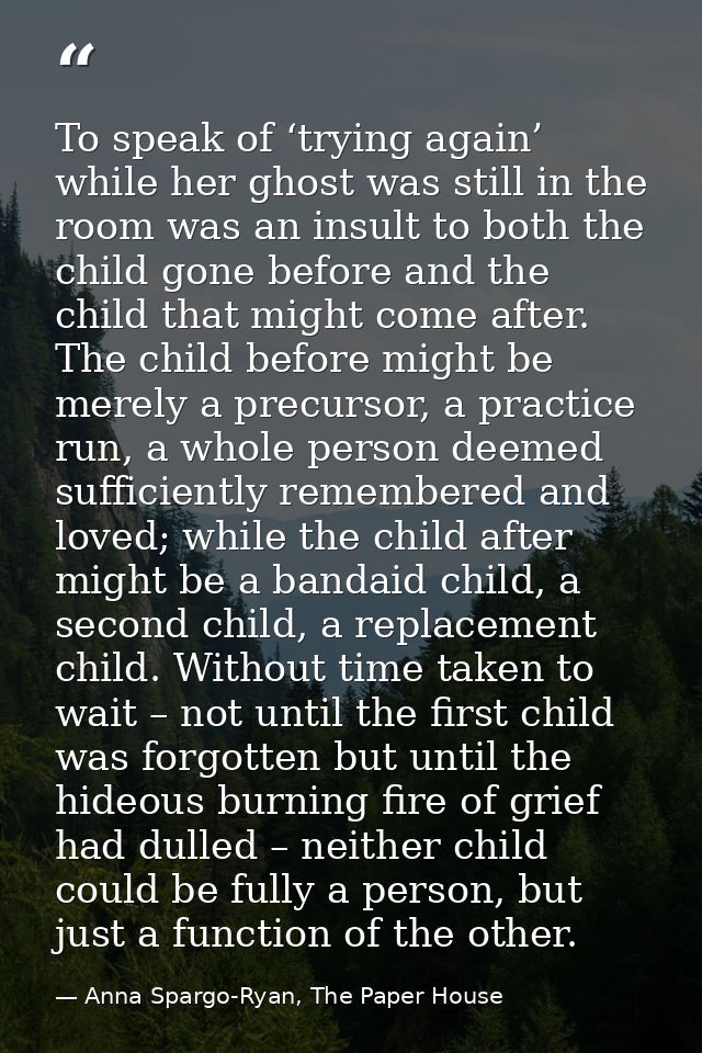 To speak of ‘trying again’ while her ghost was still in the room was an insult to both the child gone before and the chi — Anna Spargo-Ryan, The Paper House