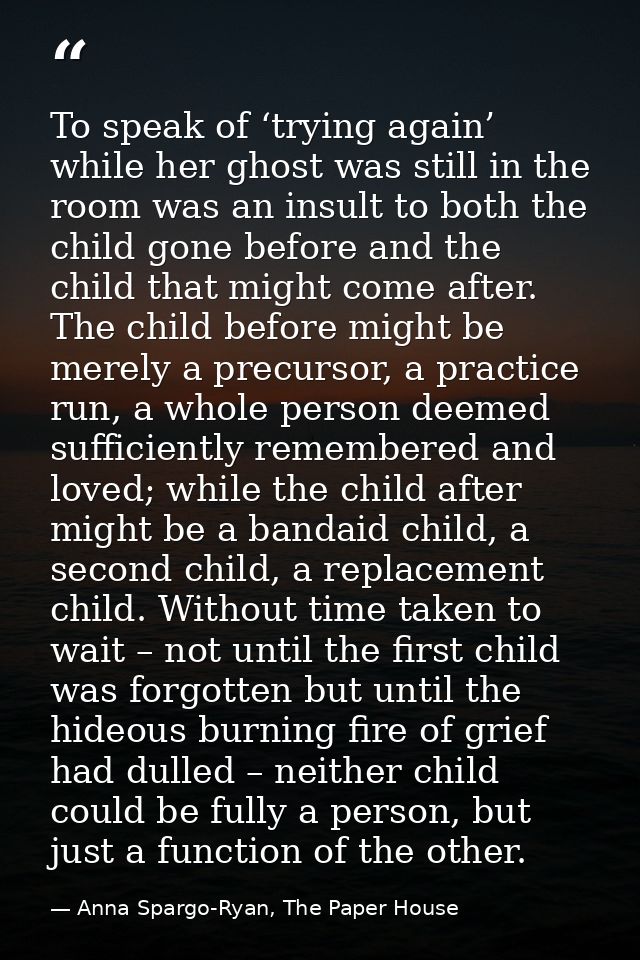 To speak of ‘trying again’ while her ghost was still in the room was an insult to both the child gone before and the chi — Anna Spargo-Ryan, The Paper House