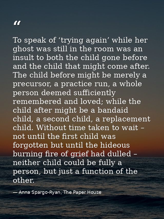 To speak of ‘trying again’ while her ghost was still in the room was an insult to both the child gone before and the chi — Anna Spargo-Ryan, The Paper House
