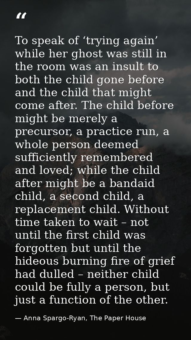To speak of ‘trying again’ while her ghost was still in the room was an insult to both the child gone before and the chi — Anna Spargo-Ryan, The Paper House