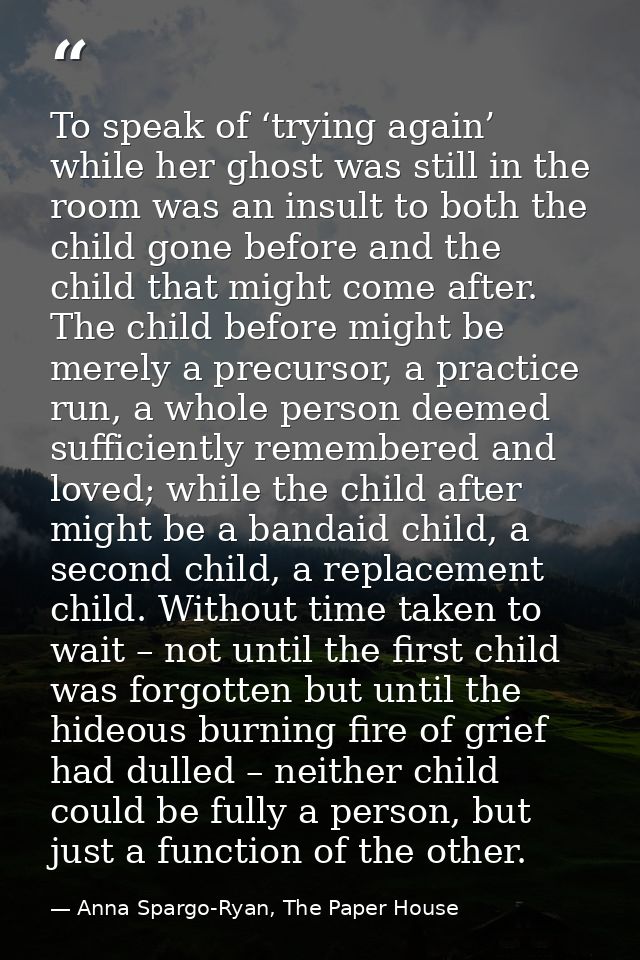 To speak of ‘trying again’ while her ghost was still in the room was an insult to both the child gone before and the chi — Anna Spargo-Ryan, The Paper House