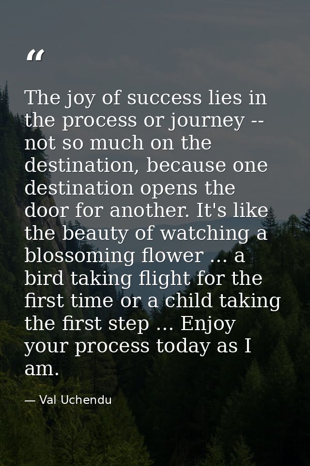 The joy of success lies in the process or journey -- not so much on the destination, because one destination opens the d — Val Uchendu