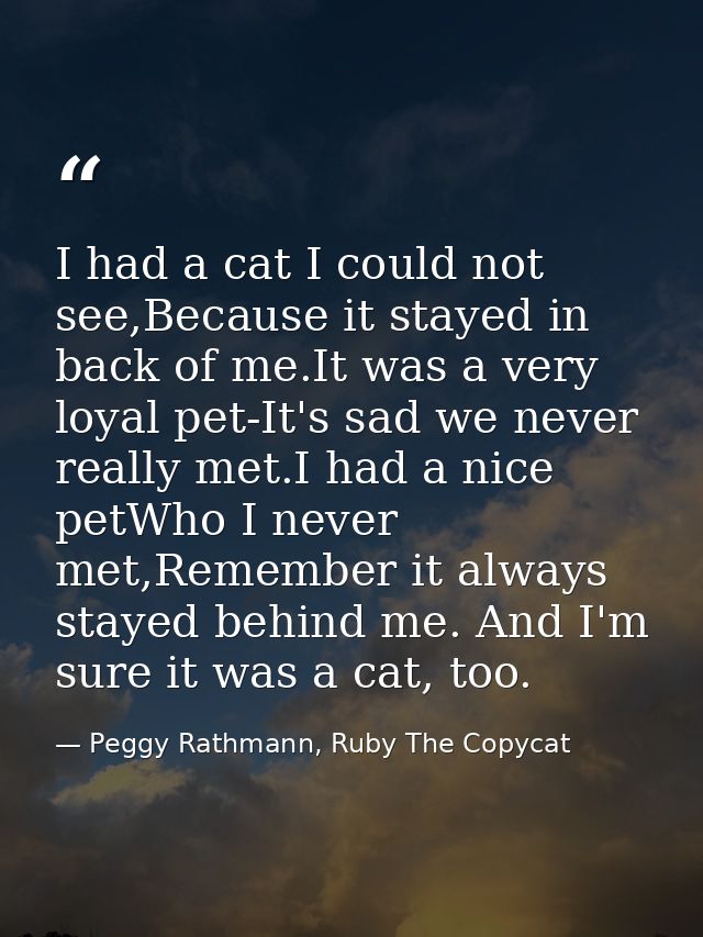I had a cat I could not see,Because it stayed in back of me.It was a very loyal pet-It's sad we never really met.I had a — Peggy Rathmann, Ruby The Copycat