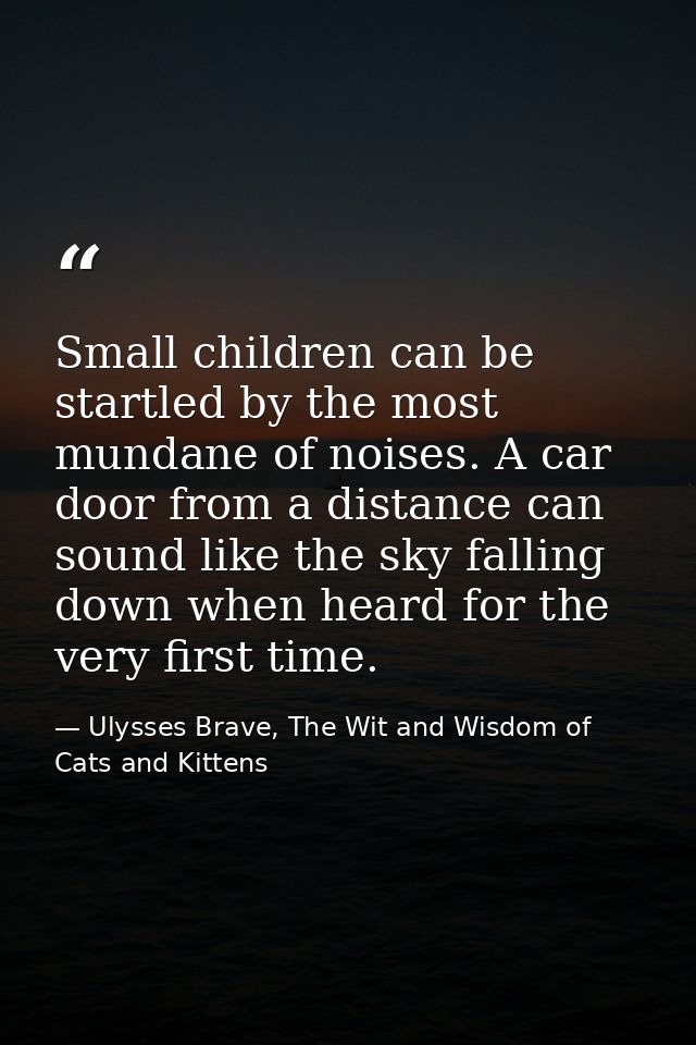 Small children can be startled by the most mundane of noises. A car door from a distance can sound like the sky falling  — Ulysses Brave, The Wit and Wisdom of Cats and Kittens