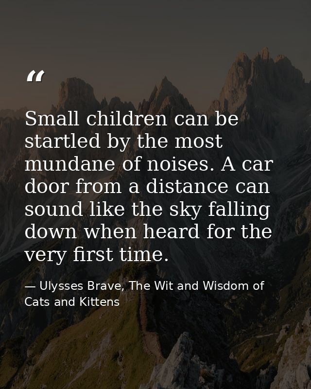 Small children can be startled by the most mundane of noises. A car door from a distance can sound like the sky falling  — Ulysses Brave, The Wit and Wisdom of Cats and Kittens