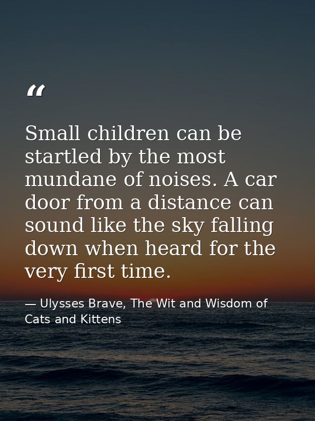 Small children can be startled by the most mundane of noises. A car door from a distance can sound like the sky falling  — Ulysses Brave, The Wit and Wisdom of Cats and Kittens