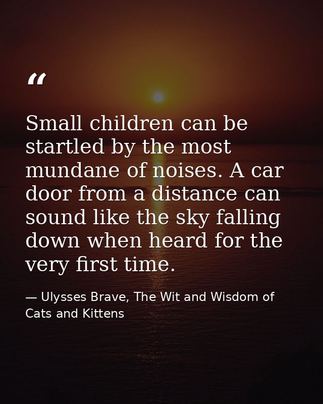 Small children can be startled by the most mundane of noises. A car door from a distance can sound like the sky falling  — Ulysses Brave, The Wit and Wisdom of Cats and Kittens