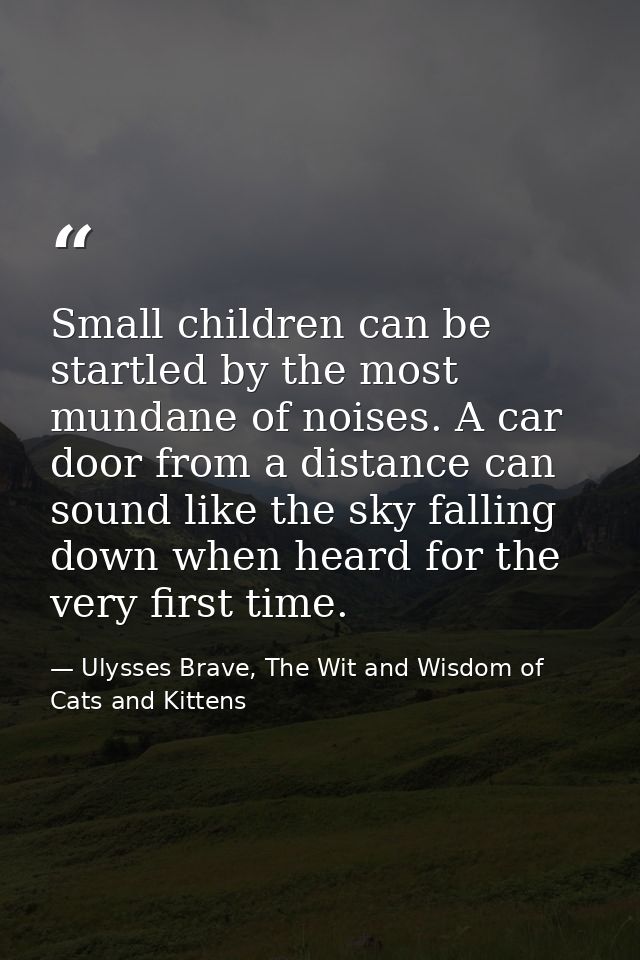 Small children can be startled by the most mundane of noises. A car door from a distance can sound like the sky falling  — Ulysses Brave, The Wit and Wisdom of Cats and Kittens