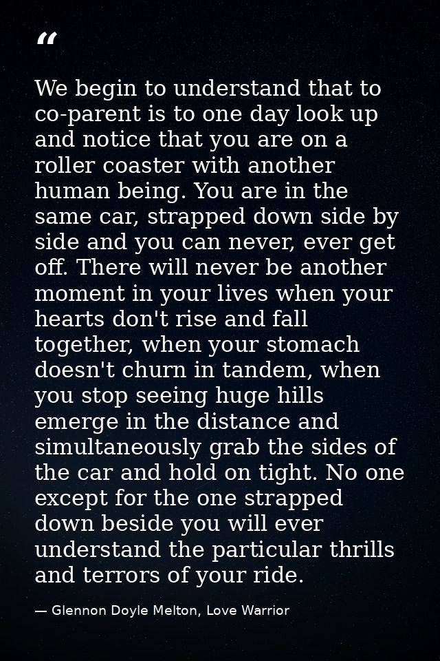 We begin to understand that to co-parent is to one day look up and notice that you are on a roller coaster with another  — Glennon Doyle Melton, Love Warrior