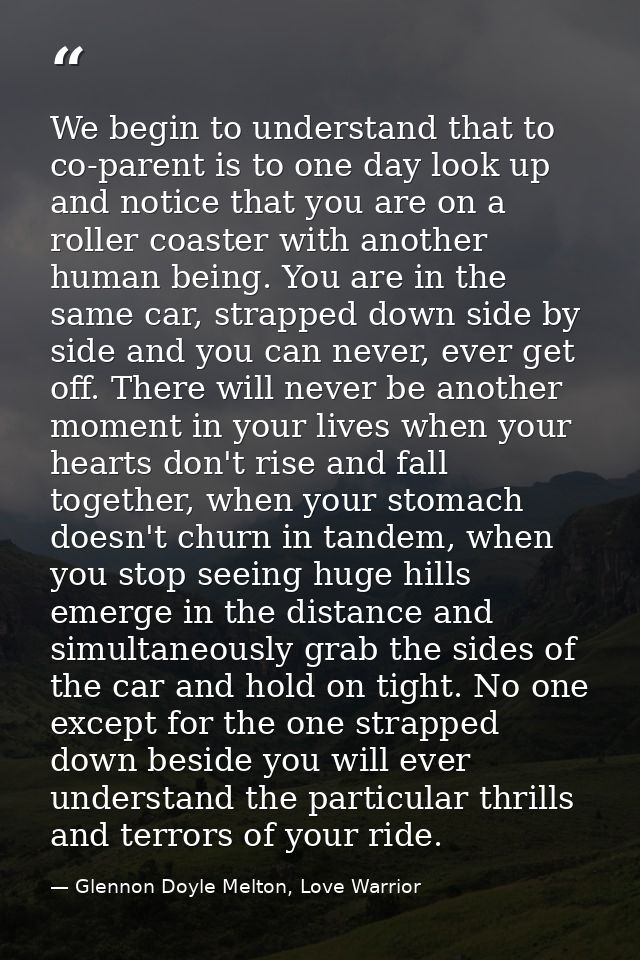 We begin to understand that to co-parent is to one day look up and notice that you are on a roller coaster with another  — Glennon Doyle Melton, Love Warrior