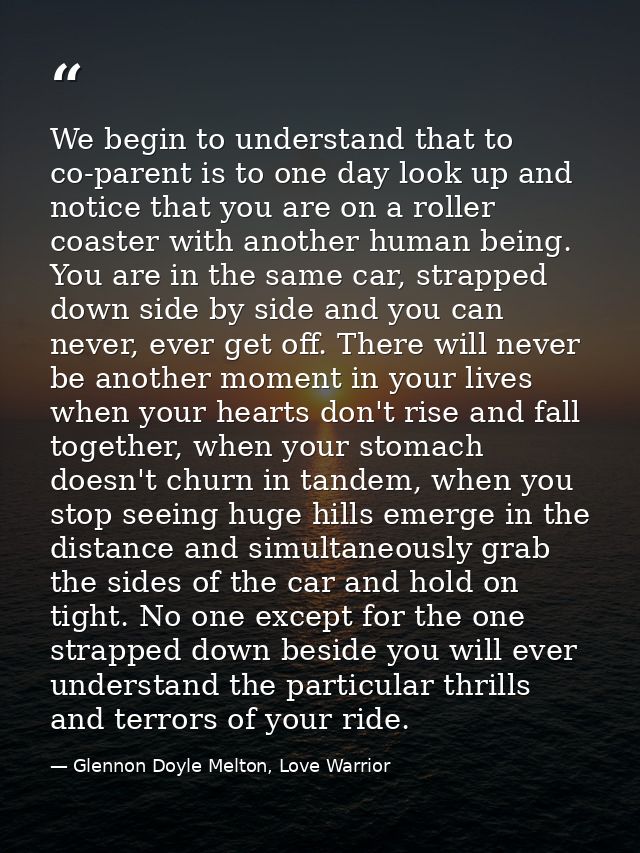 We begin to understand that to co-parent is to one day look up and notice that you are on a roller coaster with another  — Glennon Doyle Melton, Love Warrior