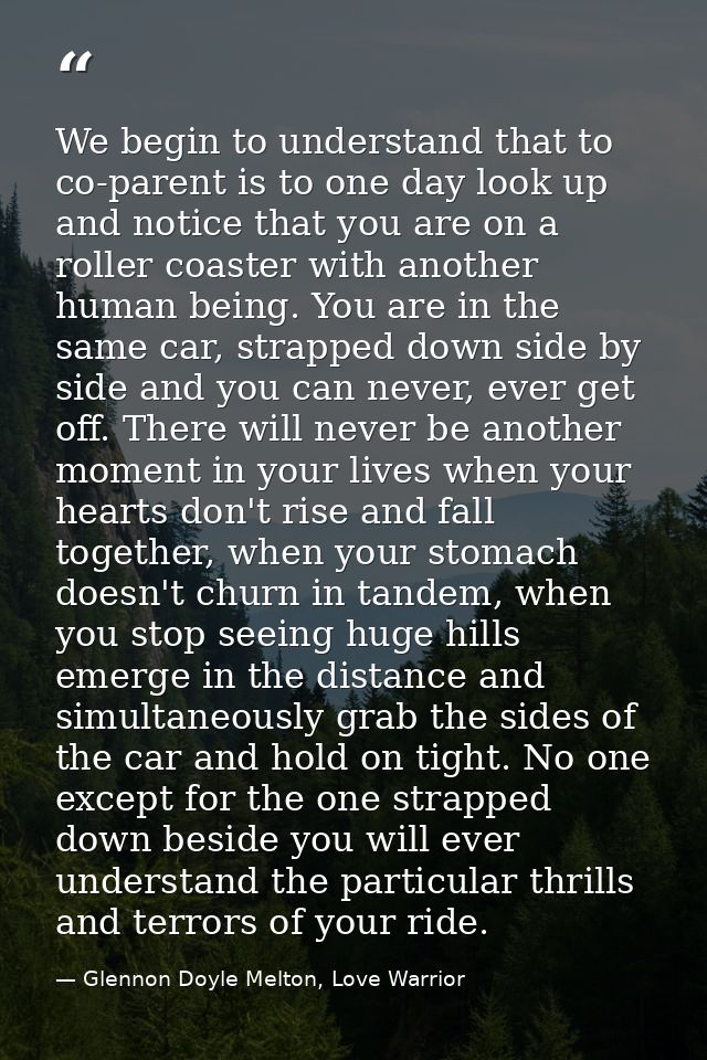We begin to understand that to co-parent is to one day look up and notice that you are on a roller coaster with another  — Glennon Doyle Melton, Love Warrior