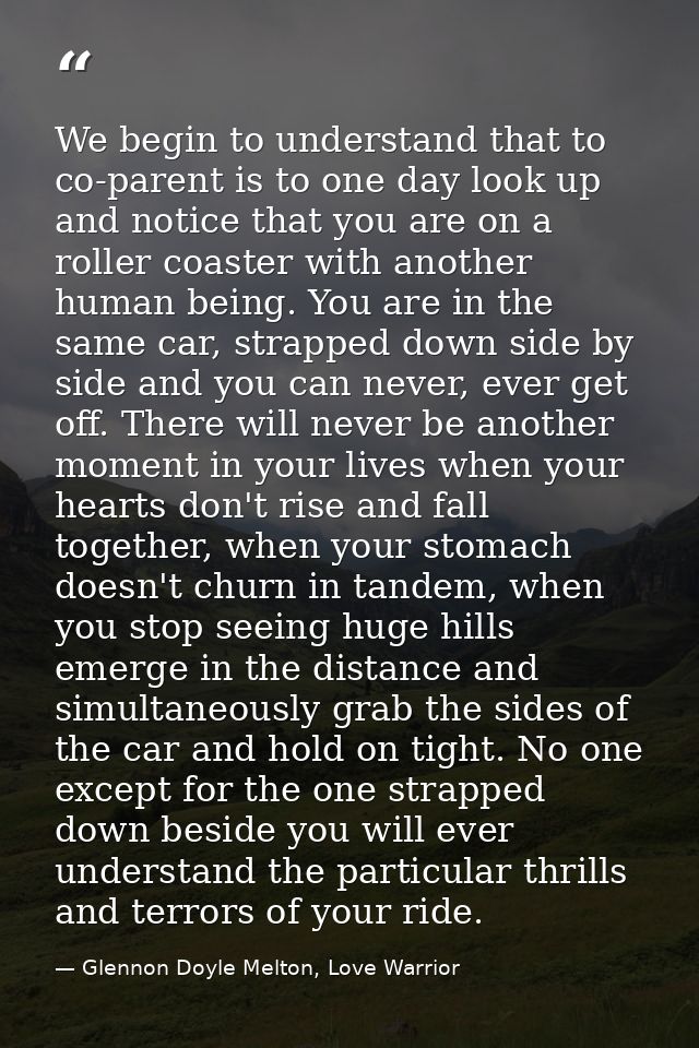 We begin to understand that to co-parent is to one day look up and notice that you are on a roller coaster with another  — Glennon Doyle Melton, Love Warrior