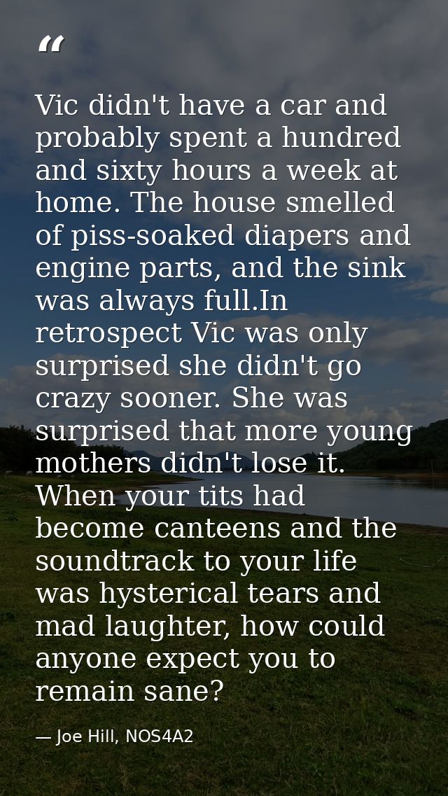 Vic didn't have a car and probably spent a hundred and sixty hours a week at home. The house smelled of piss-soaked diap — Joe Hill, NOS4A2