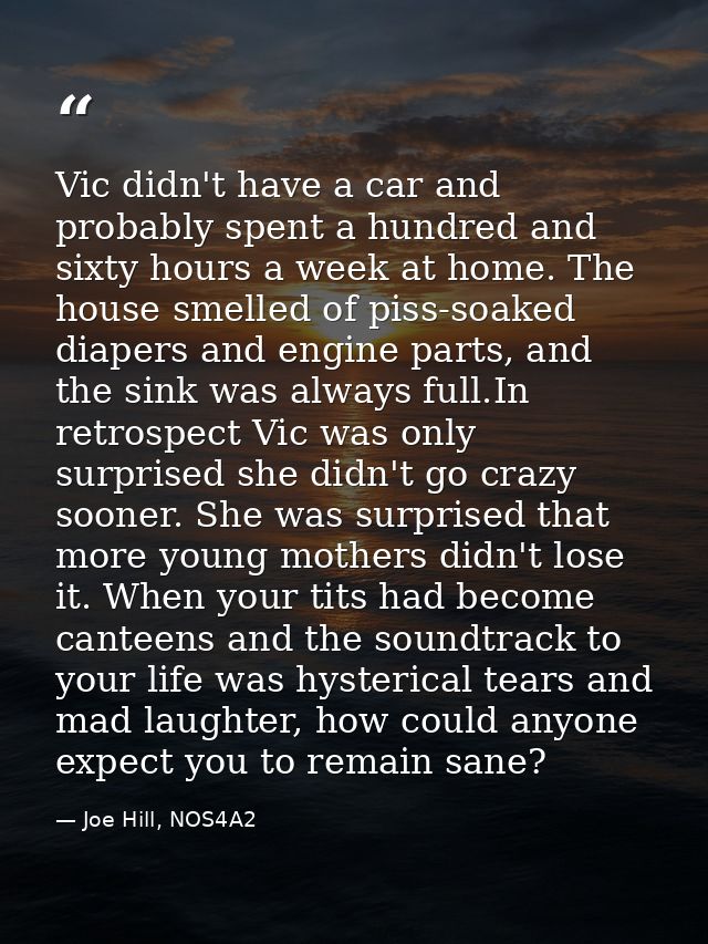 Vic didn't have a car and probably spent a hundred and sixty hours a week at home. The house smelled of piss-soaked diap — Joe Hill, NOS4A2