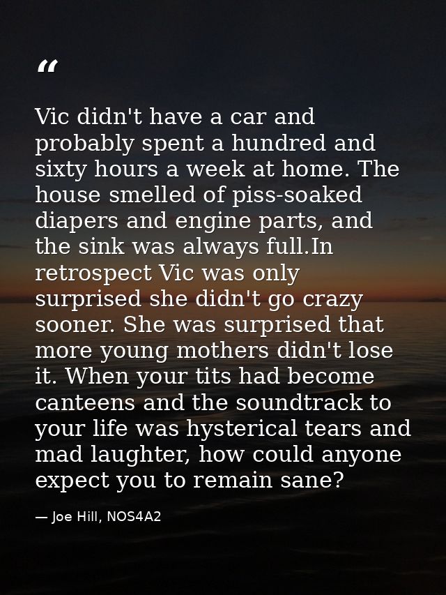 Vic didn't have a car and probably spent a hundred and sixty hours a week at home. The house smelled of piss-soaked diap — Joe Hill, NOS4A2