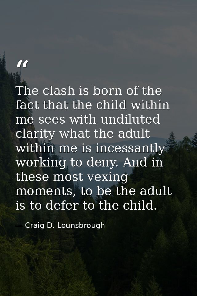 The clash is born of the fact that the child within me sees with undiluted clarity what the adult within me is incessant — Craig D. Lounsbrough