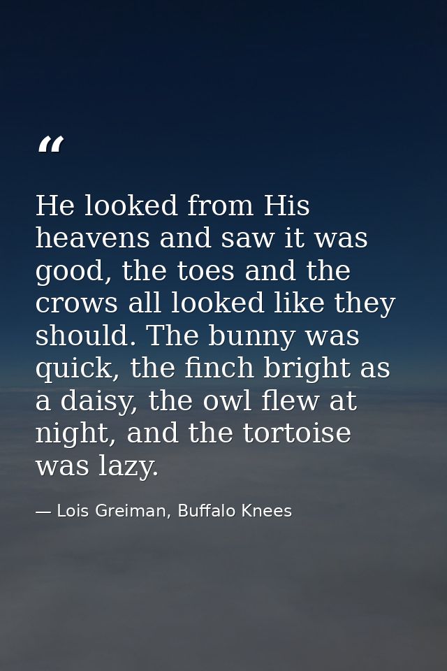 He looked from His heavens and saw it was good, the toes and the crows all looked like they should. The bunny was quick, — Lois Greiman, Buffalo Knees