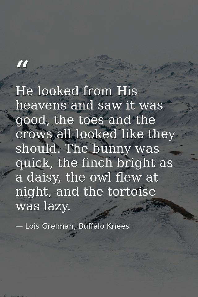 He looked from His heavens and saw it was good, the toes and the crows all looked like they should. The bunny was quick, — Lois Greiman, Buffalo Knees