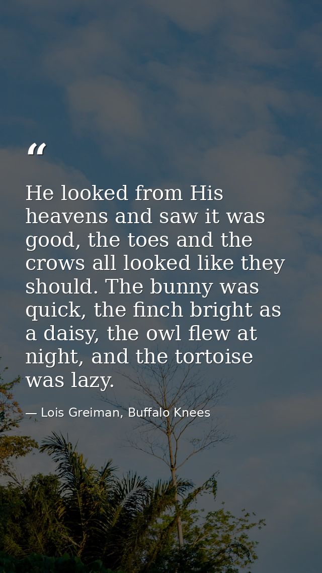 He looked from His heavens and saw it was good, the toes and the crows all looked like they should. The bunny was quick, — Lois Greiman, Buffalo Knees