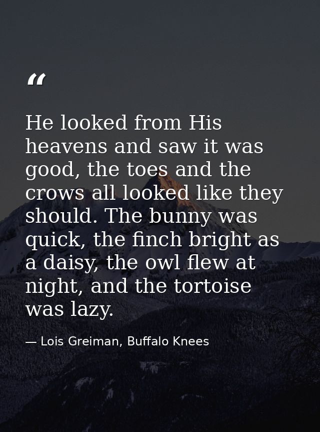 He looked from His heavens and saw it was good, the toes and the crows all looked like they should. The bunny was quick, — Lois Greiman, Buffalo Knees