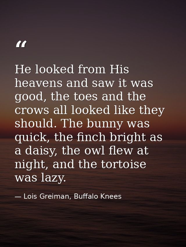 He looked from His heavens and saw it was good, the toes and the crows all looked like they should. The bunny was quick, — Lois Greiman, Buffalo Knees