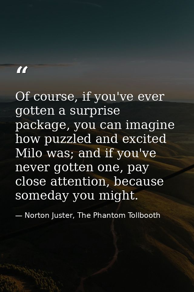 Of course, if you've ever gotten a surprise package, you can imagine how puzzled and excited Milo was; and if you've nev — Norton Juster, The Phantom Tollbooth