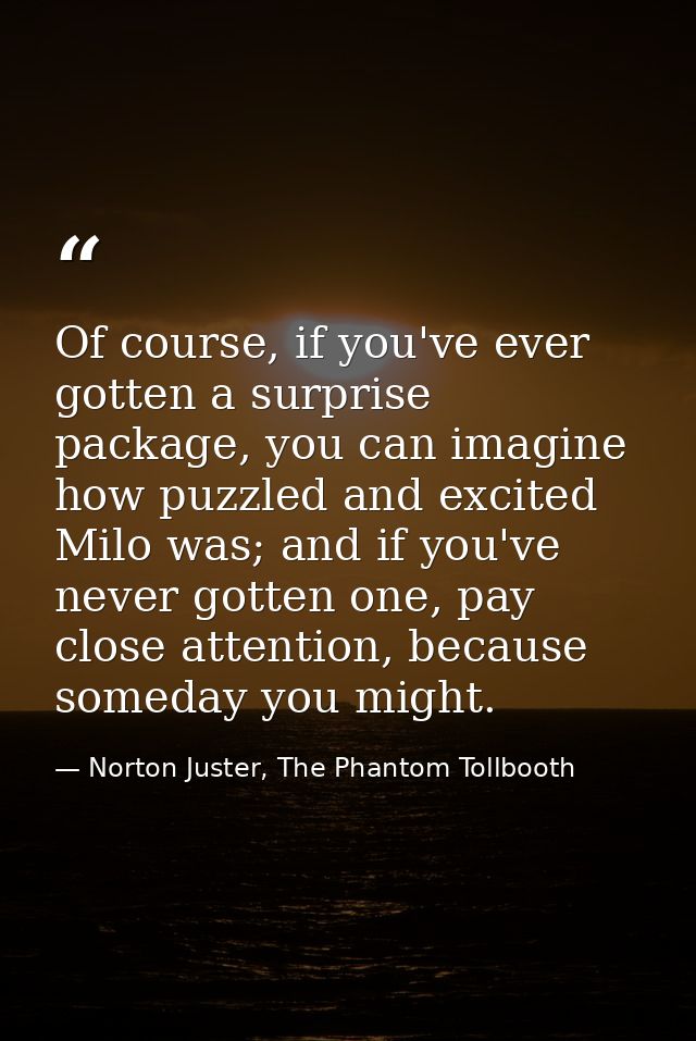 Of course, if you've ever gotten a surprise package, you can imagine how puzzled and excited Milo was; and if you've nev — Norton Juster, The Phantom Tollbooth