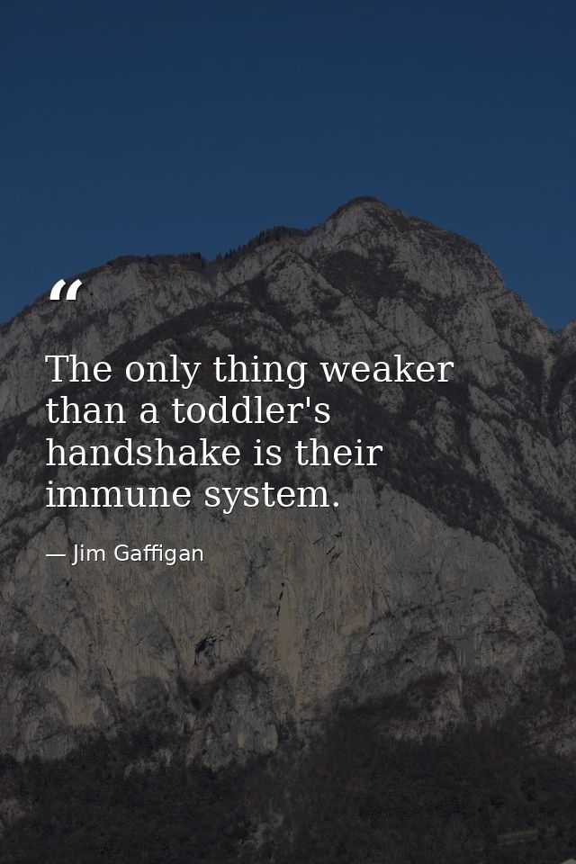 The only thing weaker than a toddler's handshake is their immune system. — Jim Gaffigan