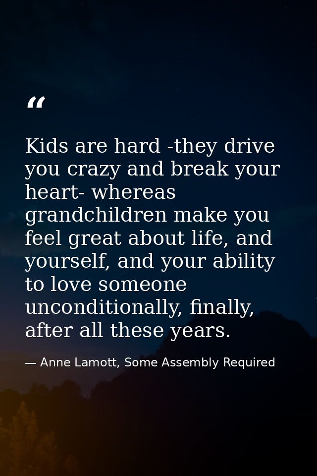 Kids are hard -they drive you crazy and break your heart- whereas grandchildren make you feel great about life, and your — Anne Lamott, Some Assembly Required