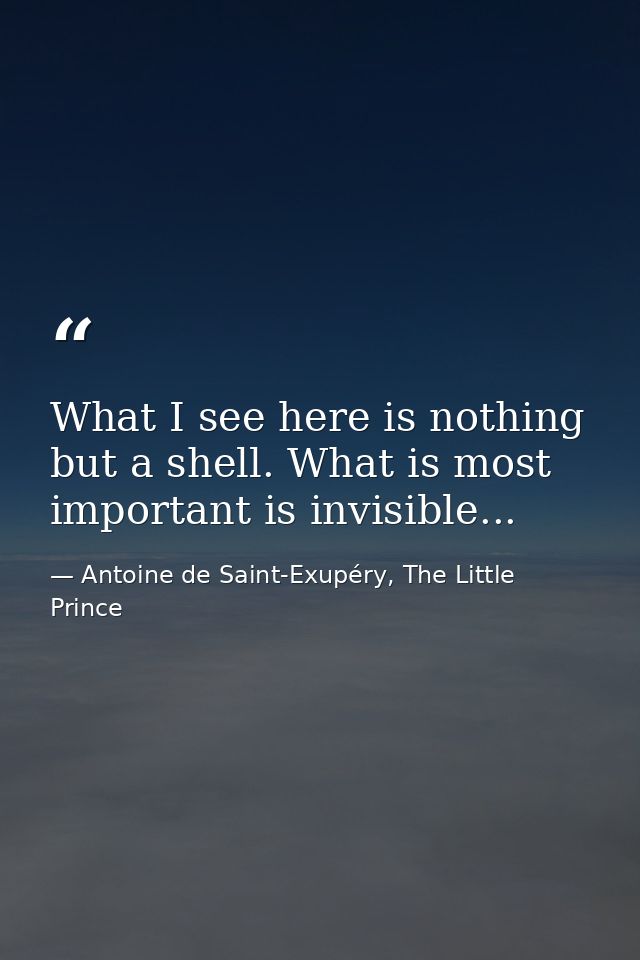 What I see here is nothing but a shell. What is most important is invisible... — Antoine de Saint-Exupéry, The Little Prince