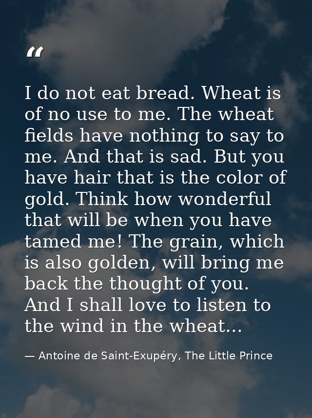 I do not eat bread. Wheat is of no use to me. The wheat fields have nothing to say to me. And that is sad. But you have  — Antoine de Saint-Exupéry, The Little Prince