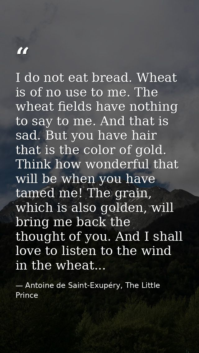 I do not eat bread. Wheat is of no use to me. The wheat fields have nothing to say to me. And that is sad. But you have  — Antoine de Saint-Exupéry, The Little Prince