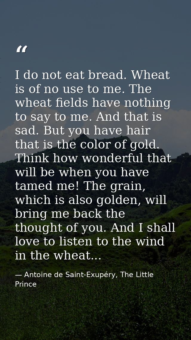 I do not eat bread. Wheat is of no use to me. The wheat fields have nothing to say to me. And that is sad. But you have  — Antoine de Saint-Exupéry, The Little Prince