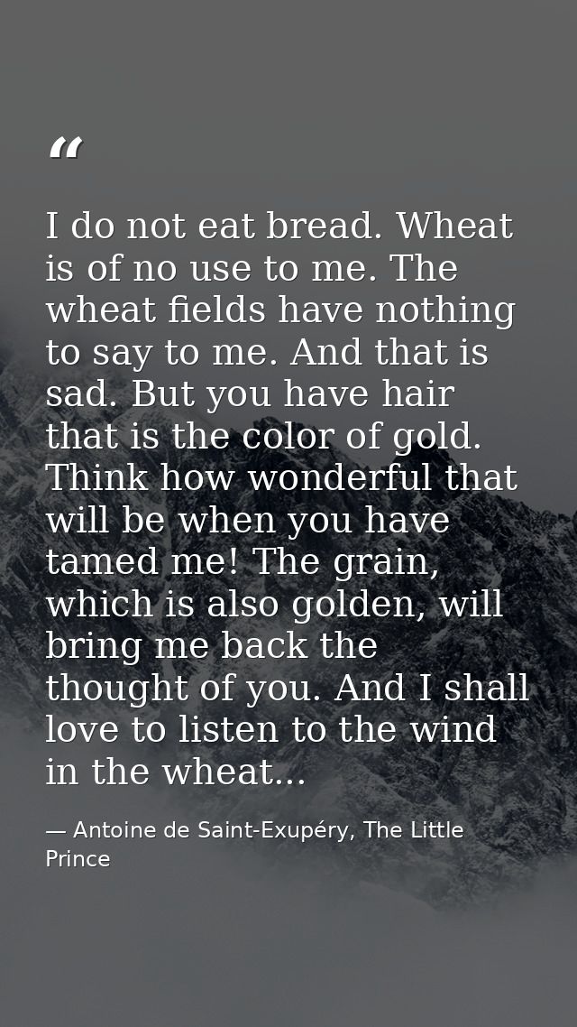 I do not eat bread. Wheat is of no use to me. The wheat fields have nothing to say to me. And that is sad. But you have  — Antoine de Saint-Exupéry, The Little Prince